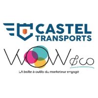 Logo CASTEL TRANSPORTS X WOW & CO